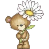 Flowers 4 22