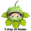 Tiny Woodys 24