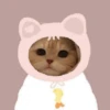 Gatitos Cute😻1🇲🇽Clásica 27