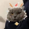 Gatitos Cute😻1🇲🇽Clásica 28