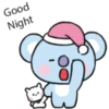 BT21 Baby My Little Buddy 20