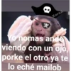 🐒 Muy monitos 🐒 20
