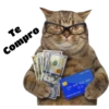 Gatitos 23