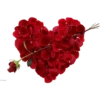 Flowers 10 25