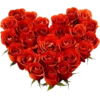 Flowers 10 27