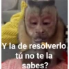 🐒 Muy monitos 🐒 25