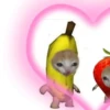 Gatitos Cute😻1🇲🇽Clásica 29
