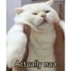 kittys 30