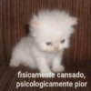 ANIMALITOS 3 29