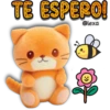 Gatito naranjito 🍊💛 30