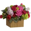Flowers 2 5