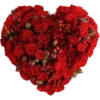 Flowers 2 6