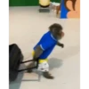 ANIMALITOS 6