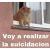 ANIMALITOS 8