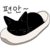 The Lucky Black Cat 7