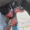 ANIMALITOS 9