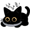 The Lucky Black Cat 8