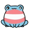 Pride Frogs 6