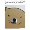 ANIMALITOS 10