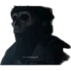 Ghost №1 8