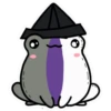 Pride Frogs 7