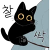 The Lucky Black Cat 10