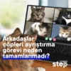 Yapı Kredi Step WhatsApp Sticker 6