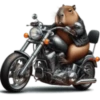 🤎Humanic Capibara.🤎 10