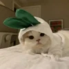 Cats 10