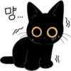 The Lucky Black Cat 12