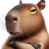 🤎Humanic Capibara.🤎 12