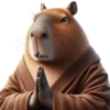 🤎Humanic Capibara.🤎 13