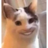 ANIMALITOS 11