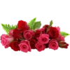 Flowers 2 13