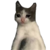 ANIMALITOS 12