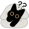 The Lucky Black Cat 14