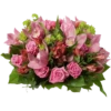 Flowers 2 15