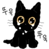 The Lucky Black Cat 15
