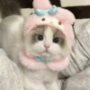 Cats 13