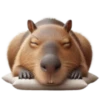 🤎Humanic Capibara.🤎 14