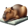 🤎Humanic Capibara.🤎 15
