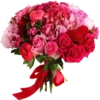 Flowers 2 17