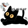 The Lucky Black Cat 17