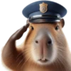 🤎Humanic Capibara.🤎 17