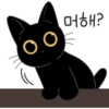 The Lucky Black Cat 18