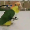 ANIMALITOS 14