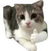 ANIMALITOS 17
