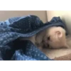 New 123 19