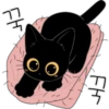 The Lucky Black Cat 20
