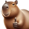 🤎Humanic Capibara.🤎 20